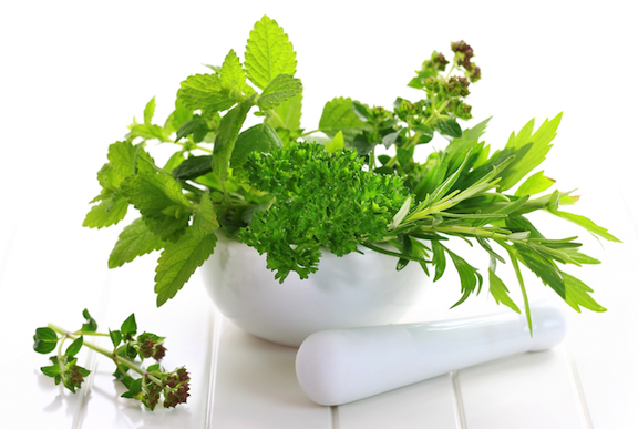 fresh-herbs