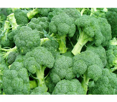 broccoli