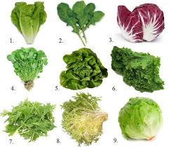 Lettuce