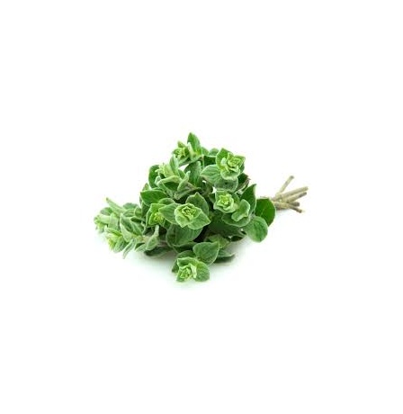 OREGANO – Imported – PKT 100 G
