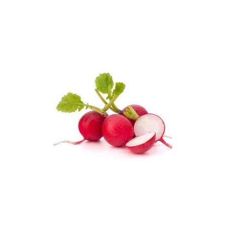RED RADISH