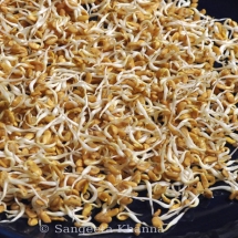 fenugreek