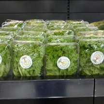 marketdisplay