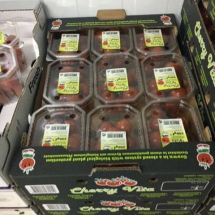 Tomatoes