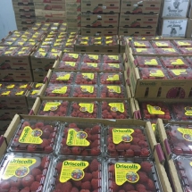 Raspberry