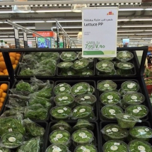 marketdisplay