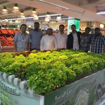 marketdisplay