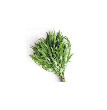 عشبة الطرخون