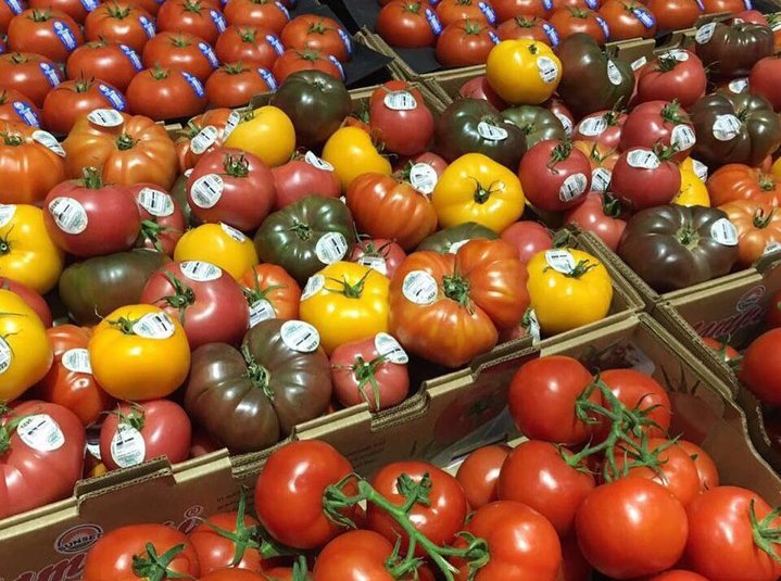 tomatoes