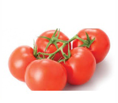 tomatoes