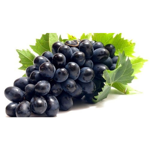 Black Grapes – KG