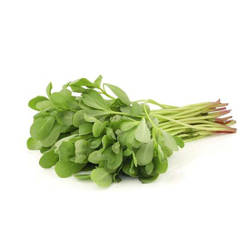 Burslane Rijalh Corn Salad Saudi – Bunch