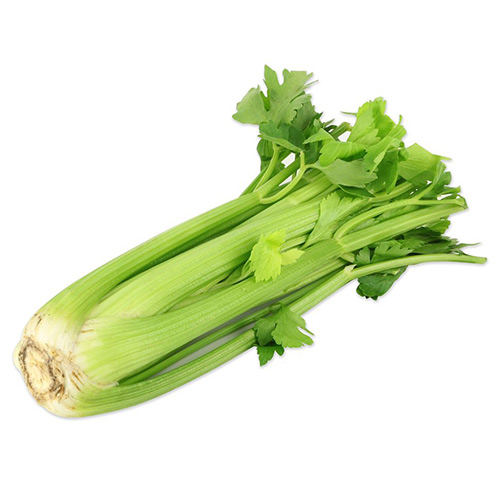 Celery Sticks Usa – kg