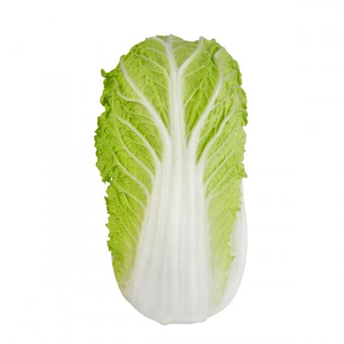 Chainese Cabbage – kg