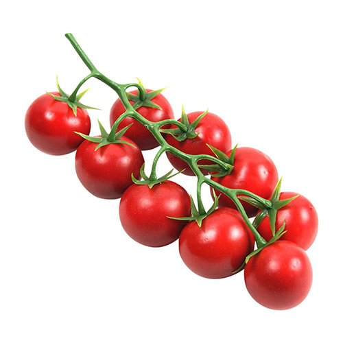 Cherry Tomatoes Vine – kg