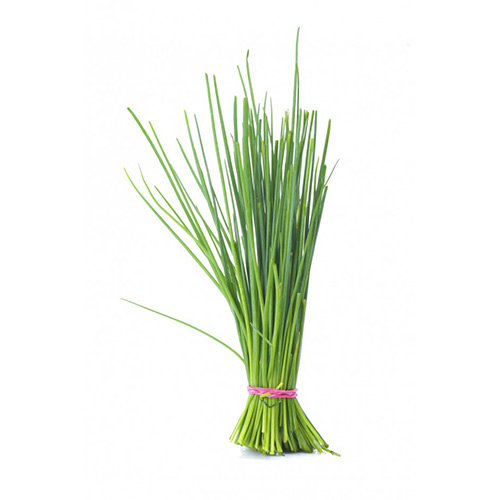 Chives Holland 100 Grams – Pkt