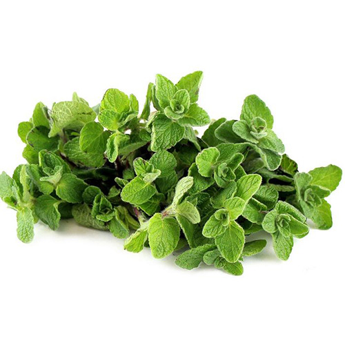 Fresh Zatar Arabic – PKT 100 G