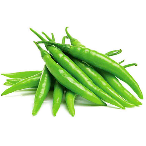 Hot Green Chilli Longer – kg