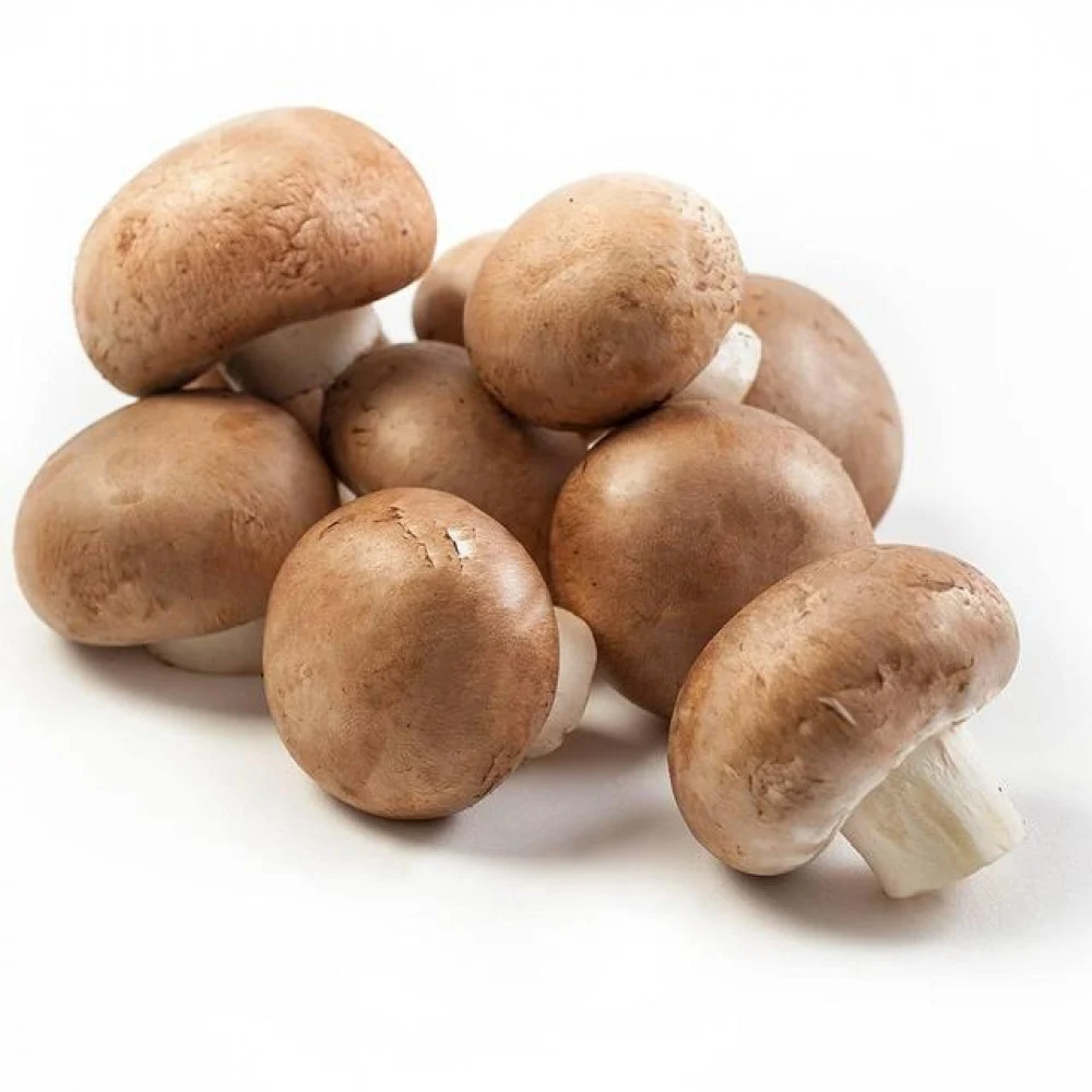 Brown Mushroom – PKT 250 G