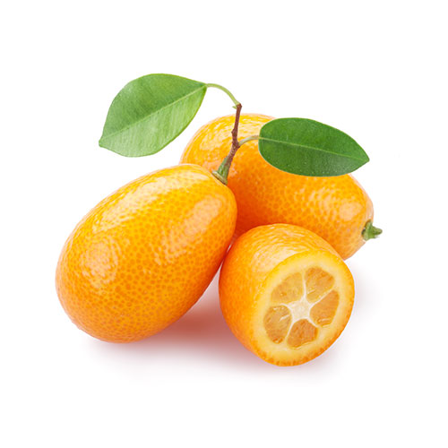 Kumquat Baby Orange Kg