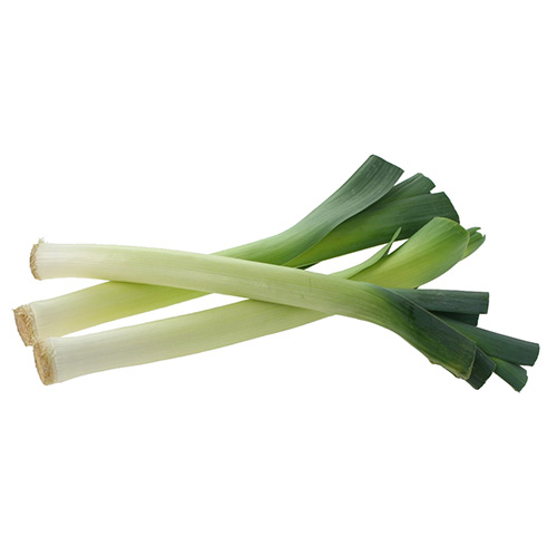Leek Holland – Kg