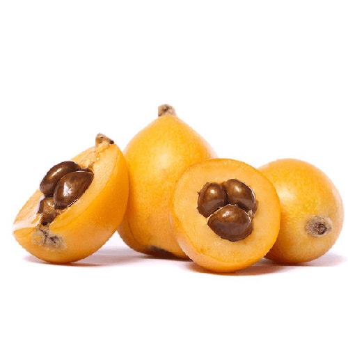 Loquat Lebanon Kg