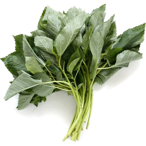 Mulokhia – Bunch