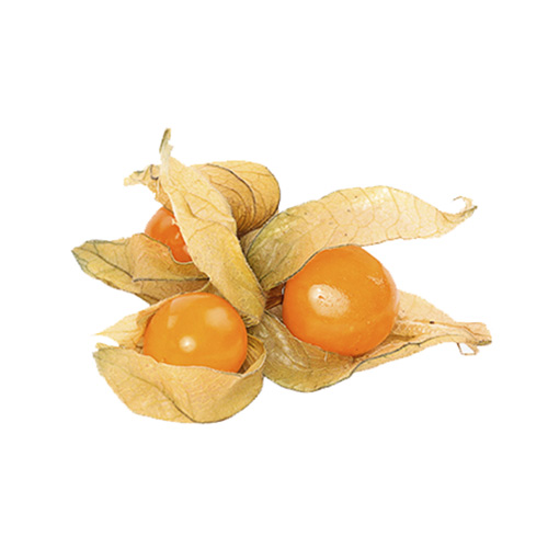 الحرنكش – باكت
