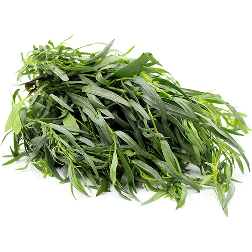 طرخون هولندى 100 جرام – باكت