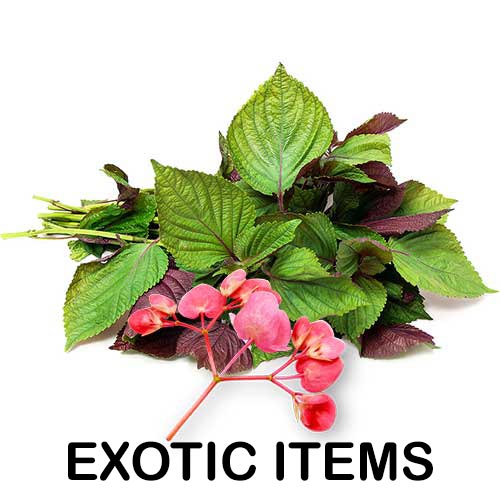 exotice