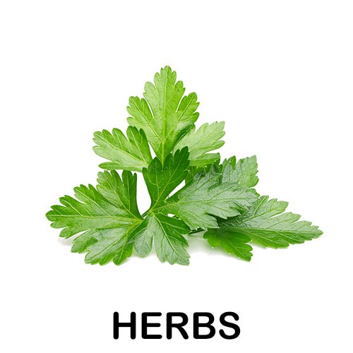 herbse
